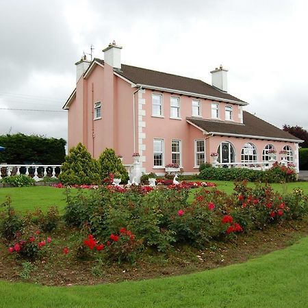 Ballingowan House Newcastle West Zewnętrze zdjęcie